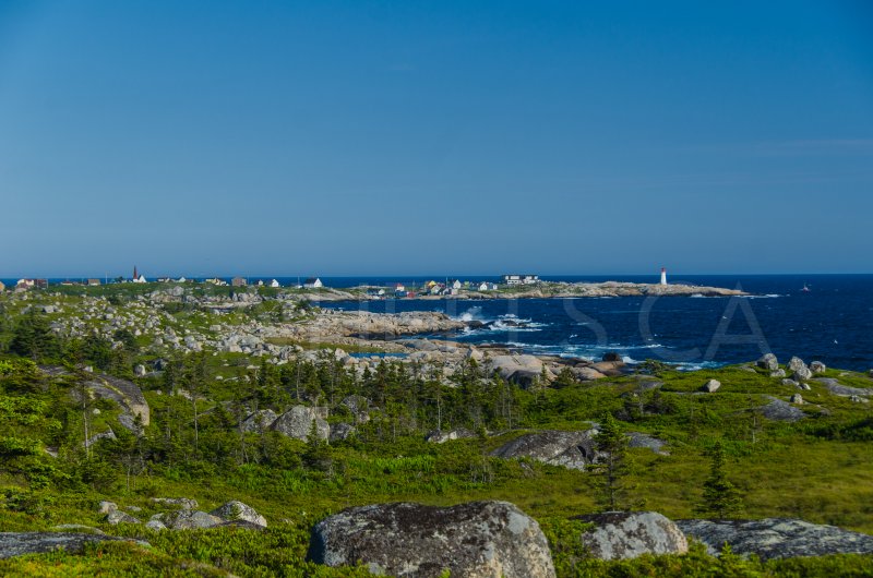 DSC_9672