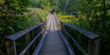 Great Lakes Coast Line Trip 2015